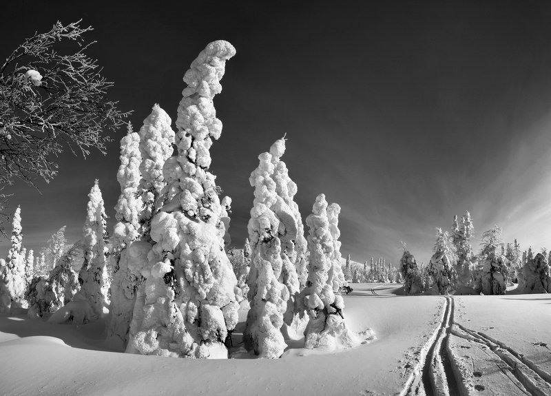 Вечерняя прогулка фото превью
