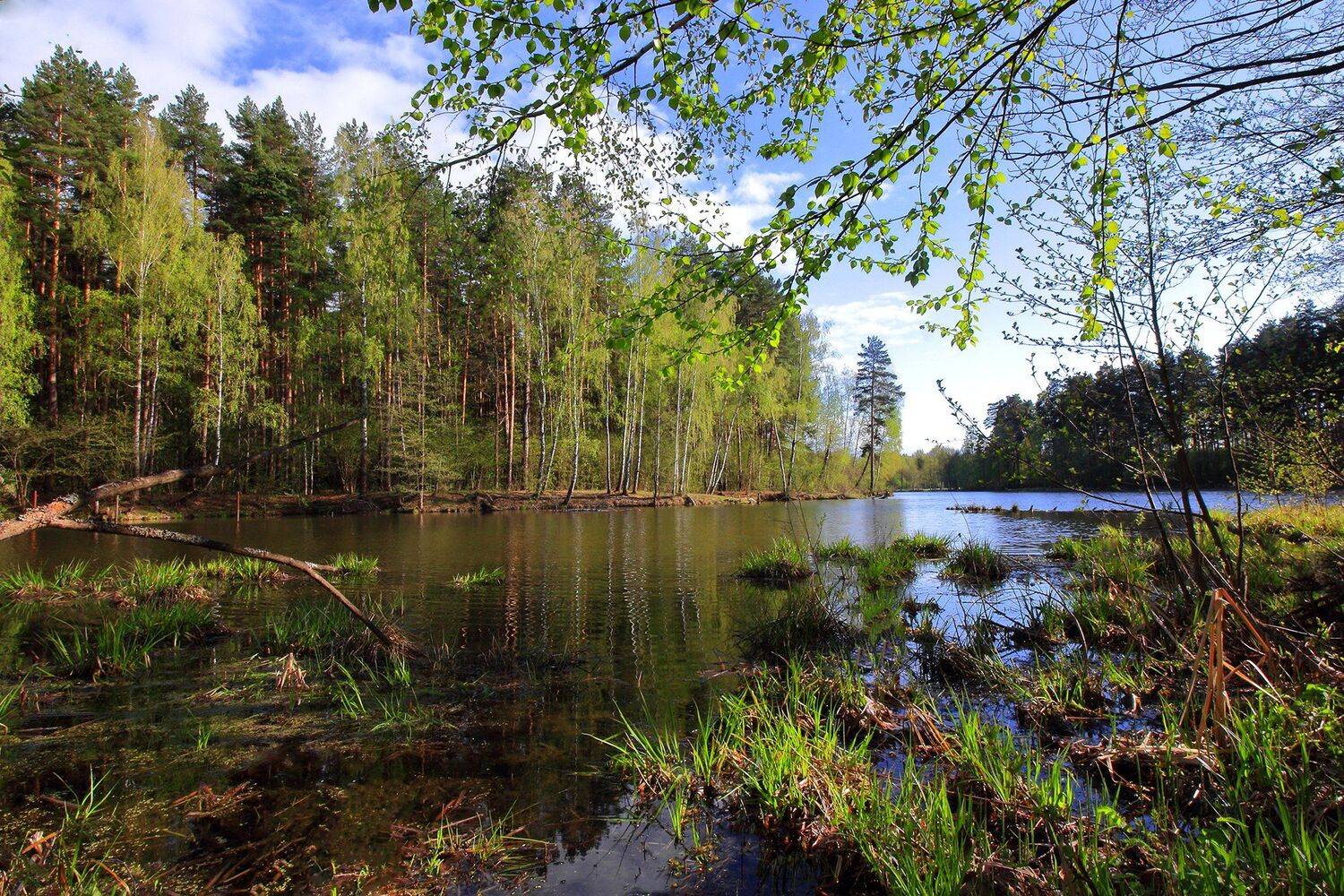 , Галина Горькавая