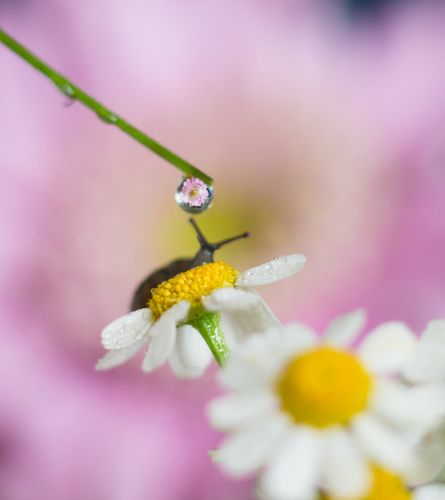 Утренние процедуры :)