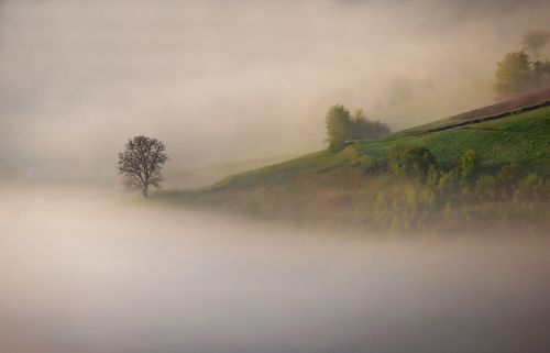 The Fog Cracker