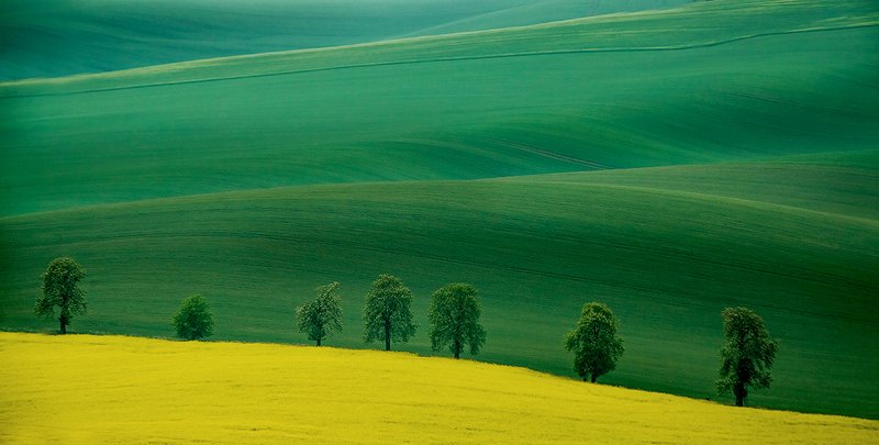 Moravia фото превью