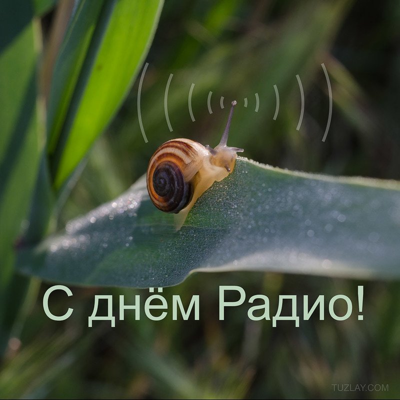 день, радио С ДНЁМ РАДИО, ДРУЗЬЯ! фото превью