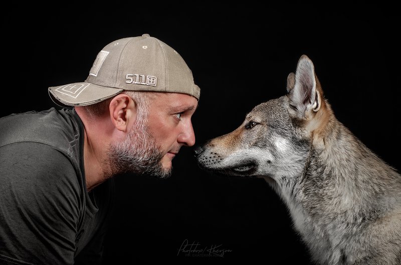 собака, анималистика, портрет, студия Brutality фото превью