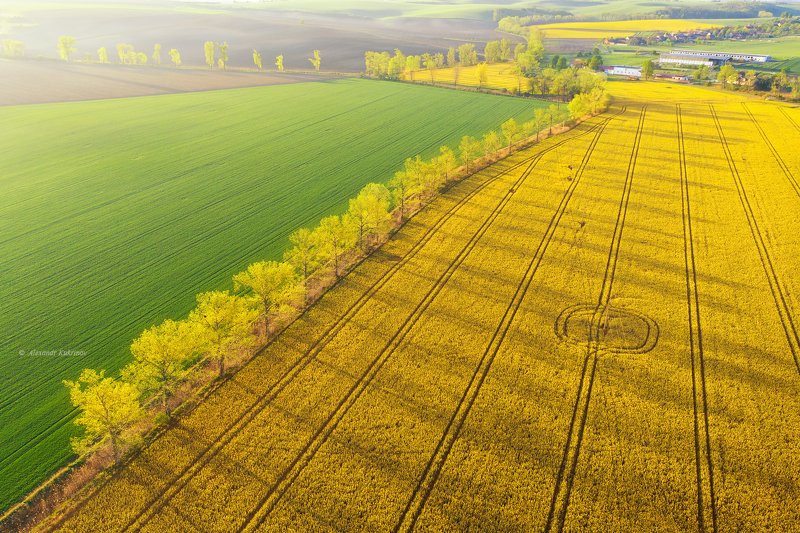 моравия, рассвет, пейзаж Весенняя РАПСодия... фото превью