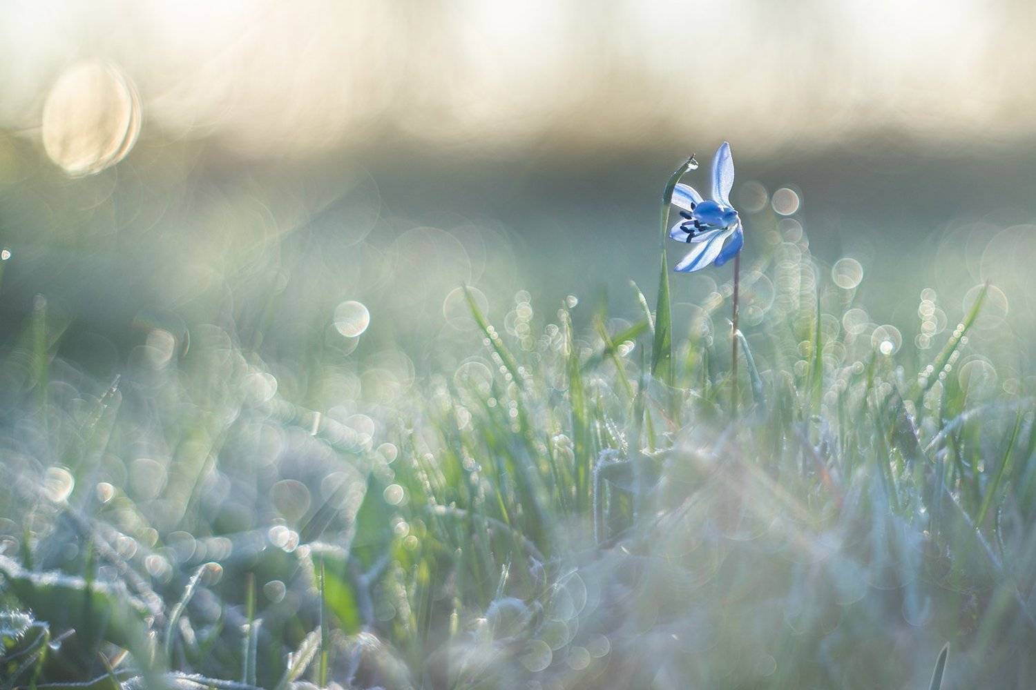 , Алексей Чистяков