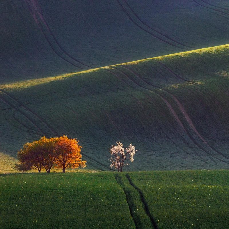 моравия, чехия, moravia, czechczech, моравия, южная моравия, south moravian Spring view. фото превью