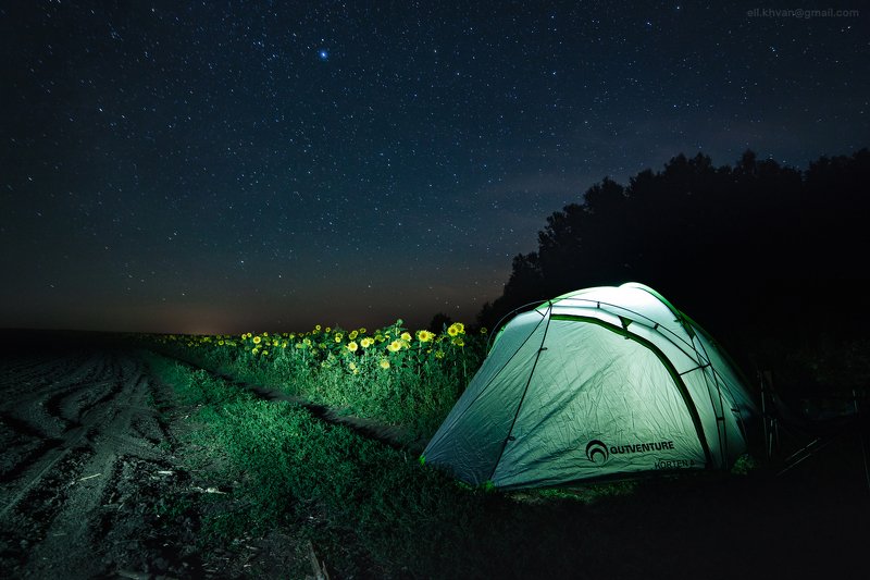 Тула, млечный путь, ночная съёмка, подсолнухи Август в Тульской области фото превью