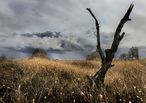 rain is coming