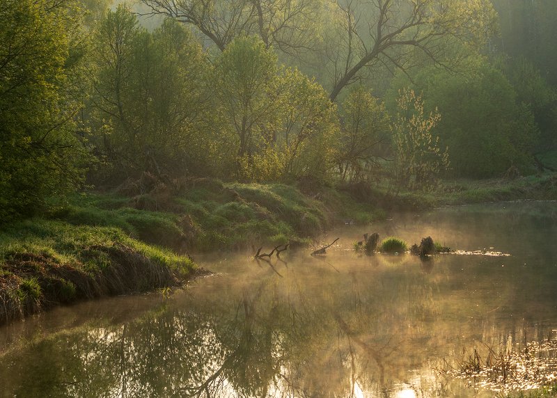 утро туман весна май свет Майское утро фото превью