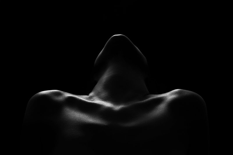 silhouette, woman, sensitive, body, shoulders, black and white, Evocation фото превью