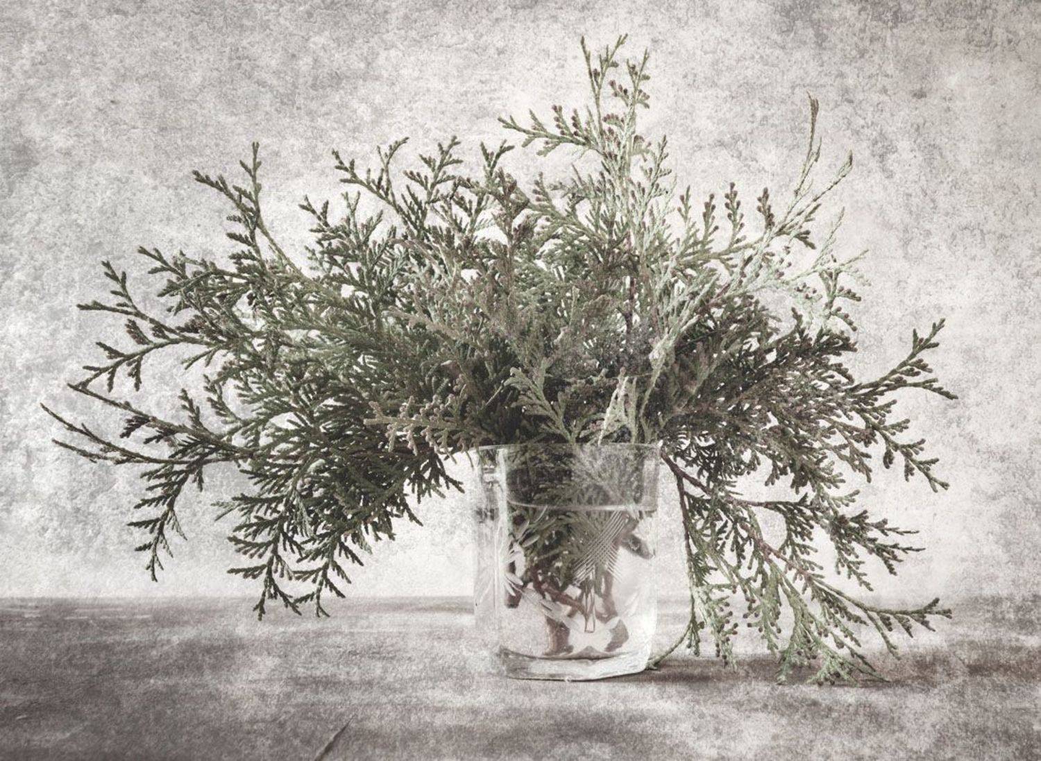 , Татьяна Макотра