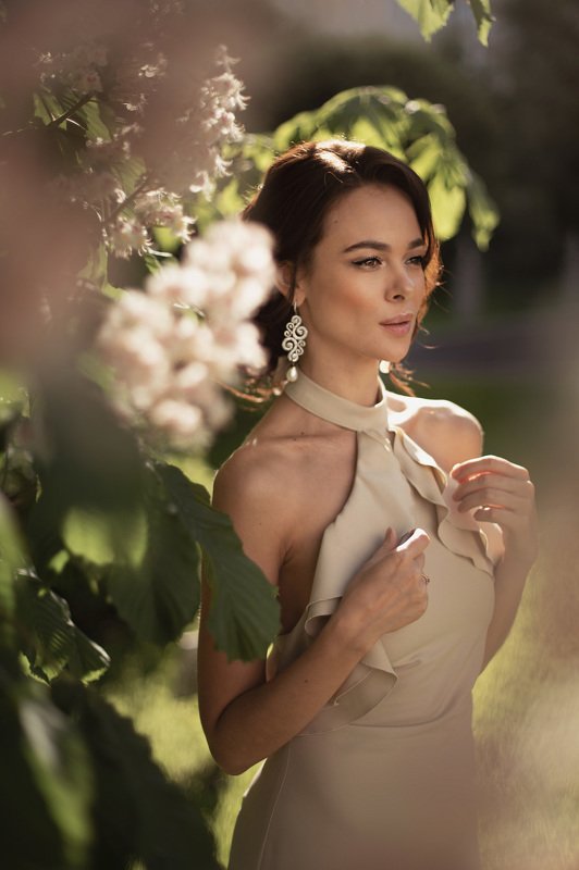 Каштан фото превью