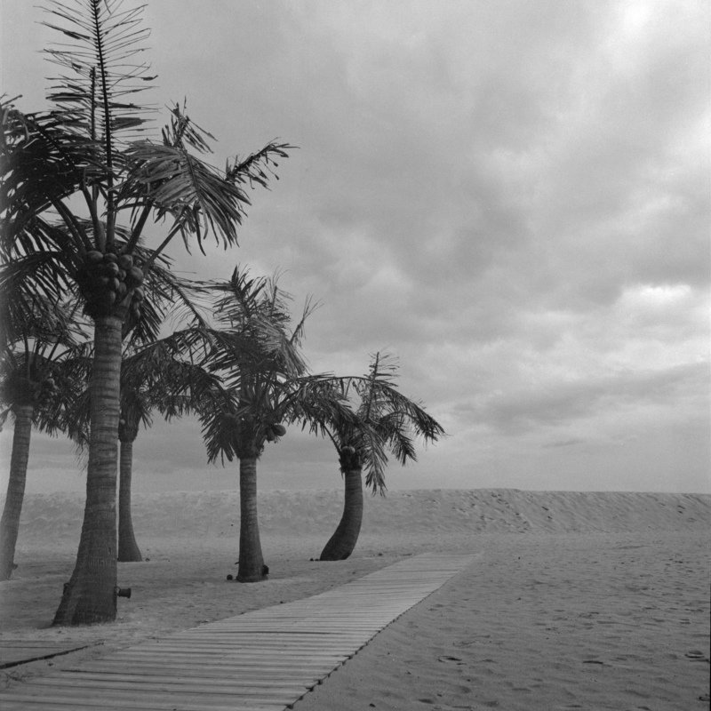 beach, black, white, sand, perspective, medium, format, 6x6, hasselblad Sand Wave фото превью
