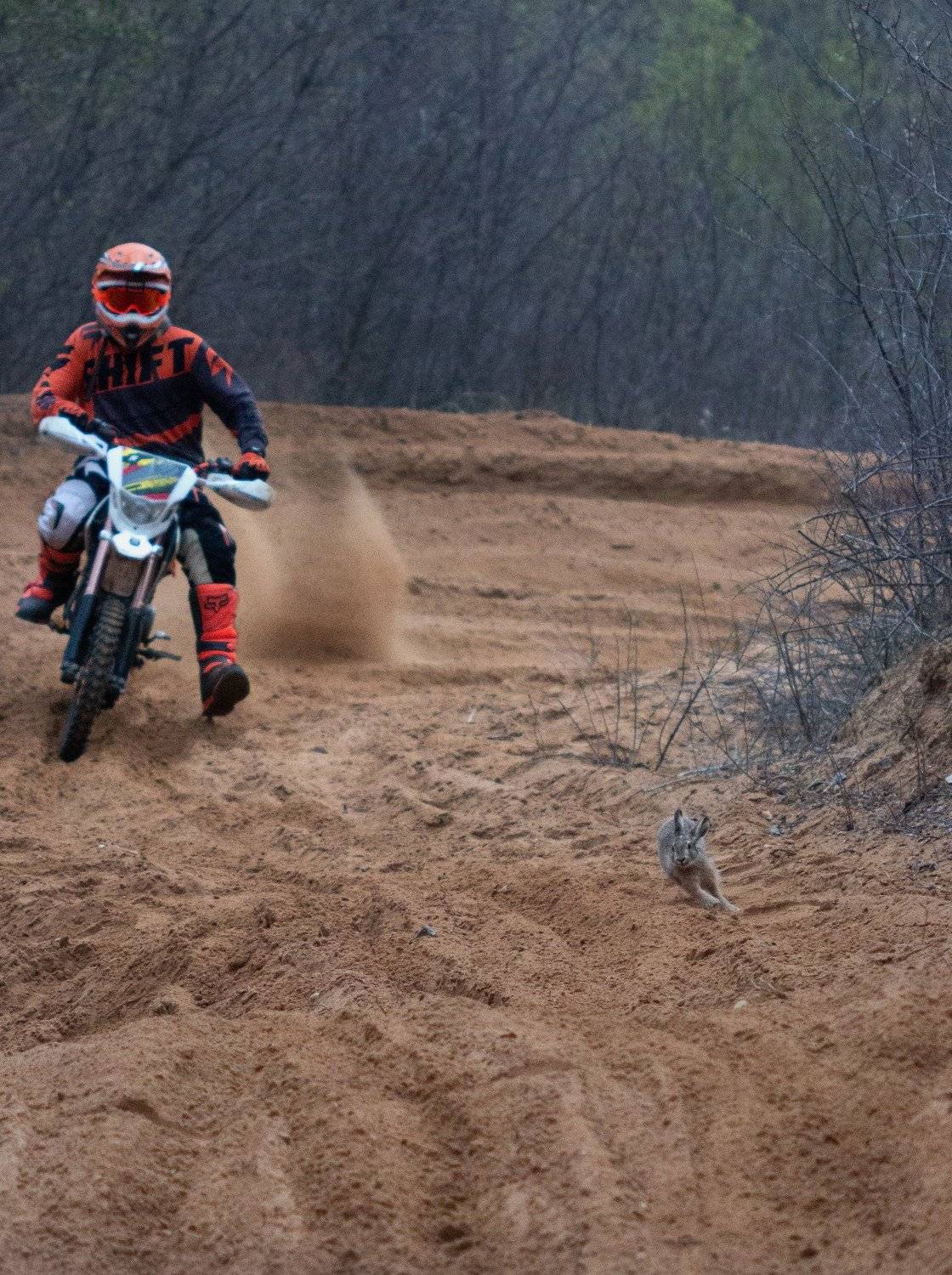 , Людмила Гудина