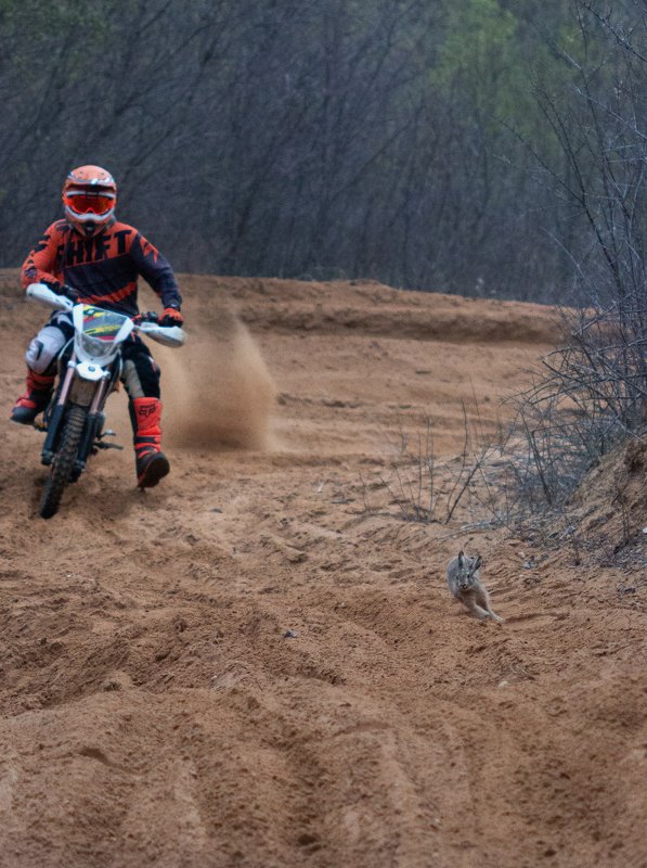 Кто быстрее? фото превью