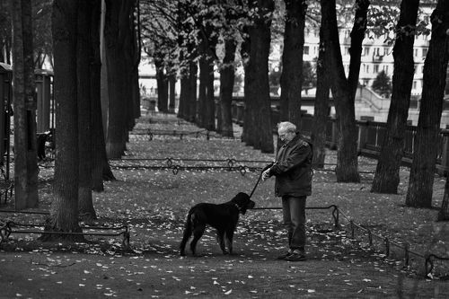 Течение времени неумалимо. 2008