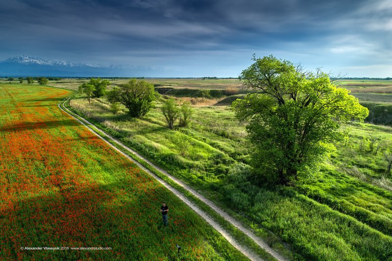 маки фото превью