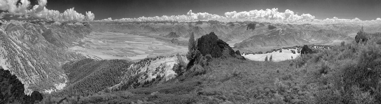 IR, Николай Ляпин