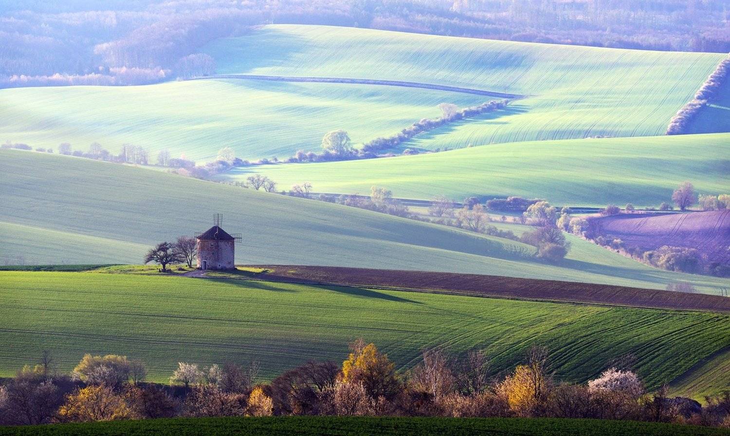 , Крицак Ольга