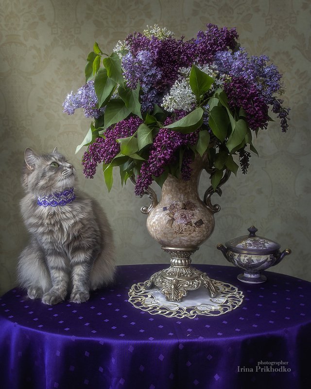 - Ничего себе букет! фото превью
