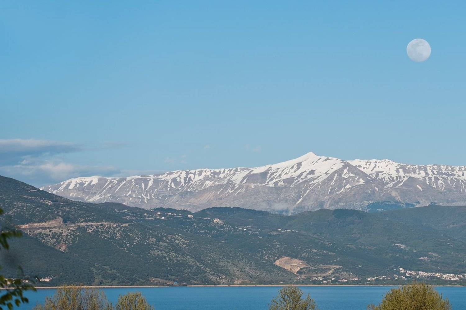 , Анна Аринова