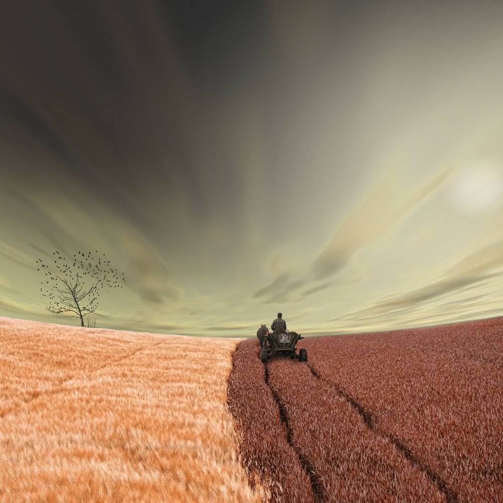 man, cart, tree, birds, grain, wheat, alone, going, home, sky, clouds, Caras Ionut
