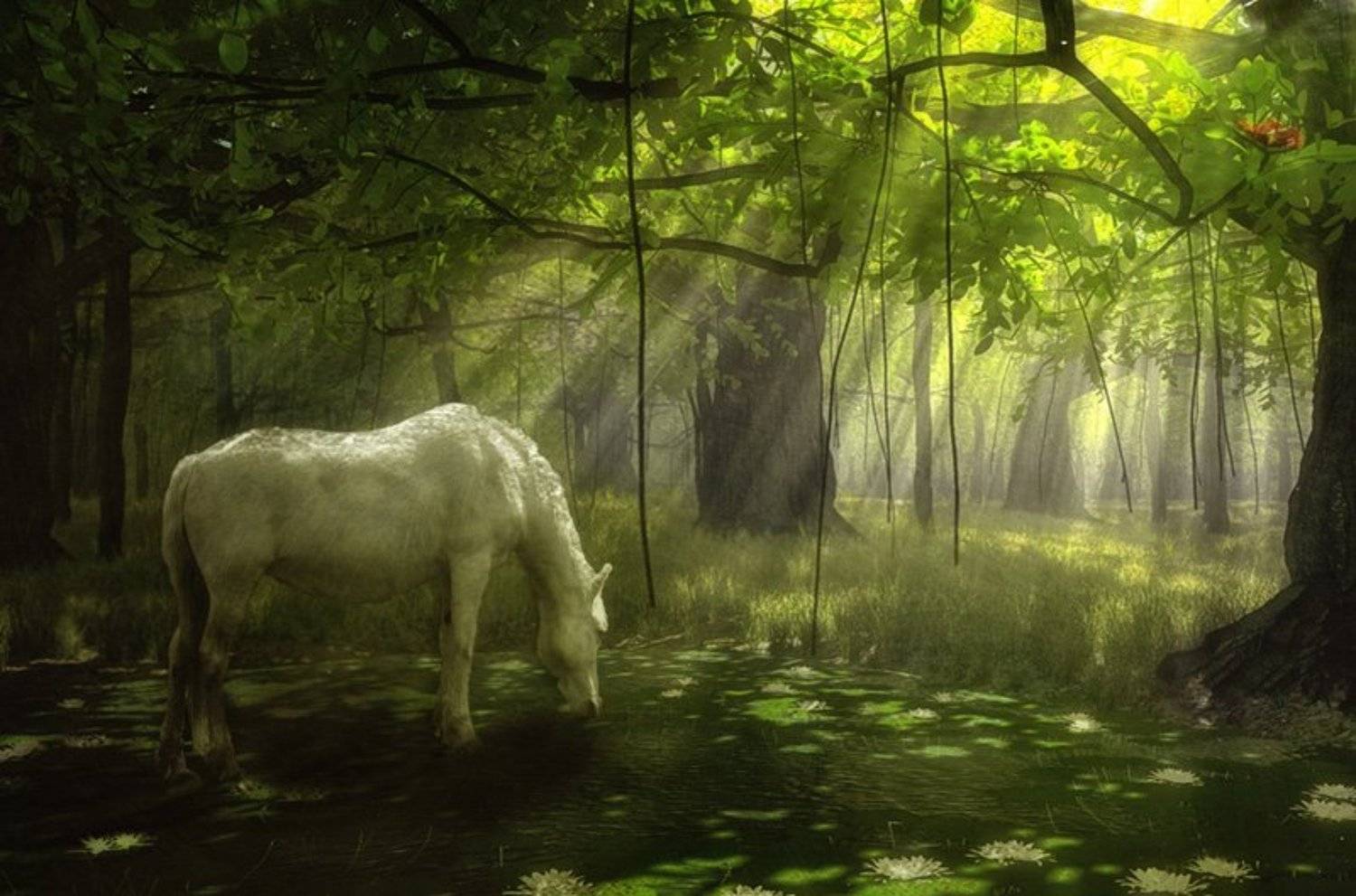 horse, Андрей Вахрушев