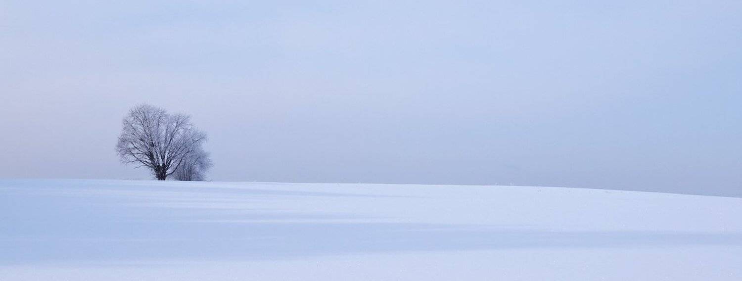 , Максим Евдокимов