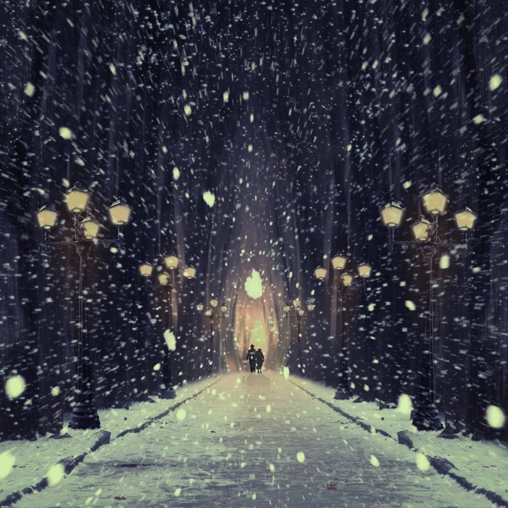 fire, forest, light, tree, golden, leaf, woman, man, couple, stone, Caras Ionut