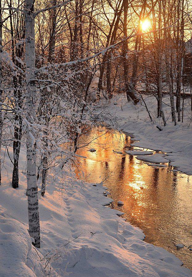 кирс, d7000, Денис Логиновский
