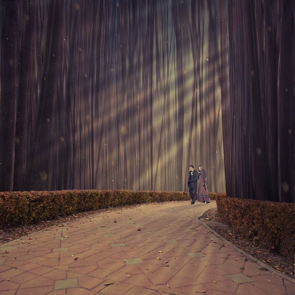 forest, girl, boy, sun, light, tree, bush, shadow, couple, rays, alleyway, Caras Ionut
