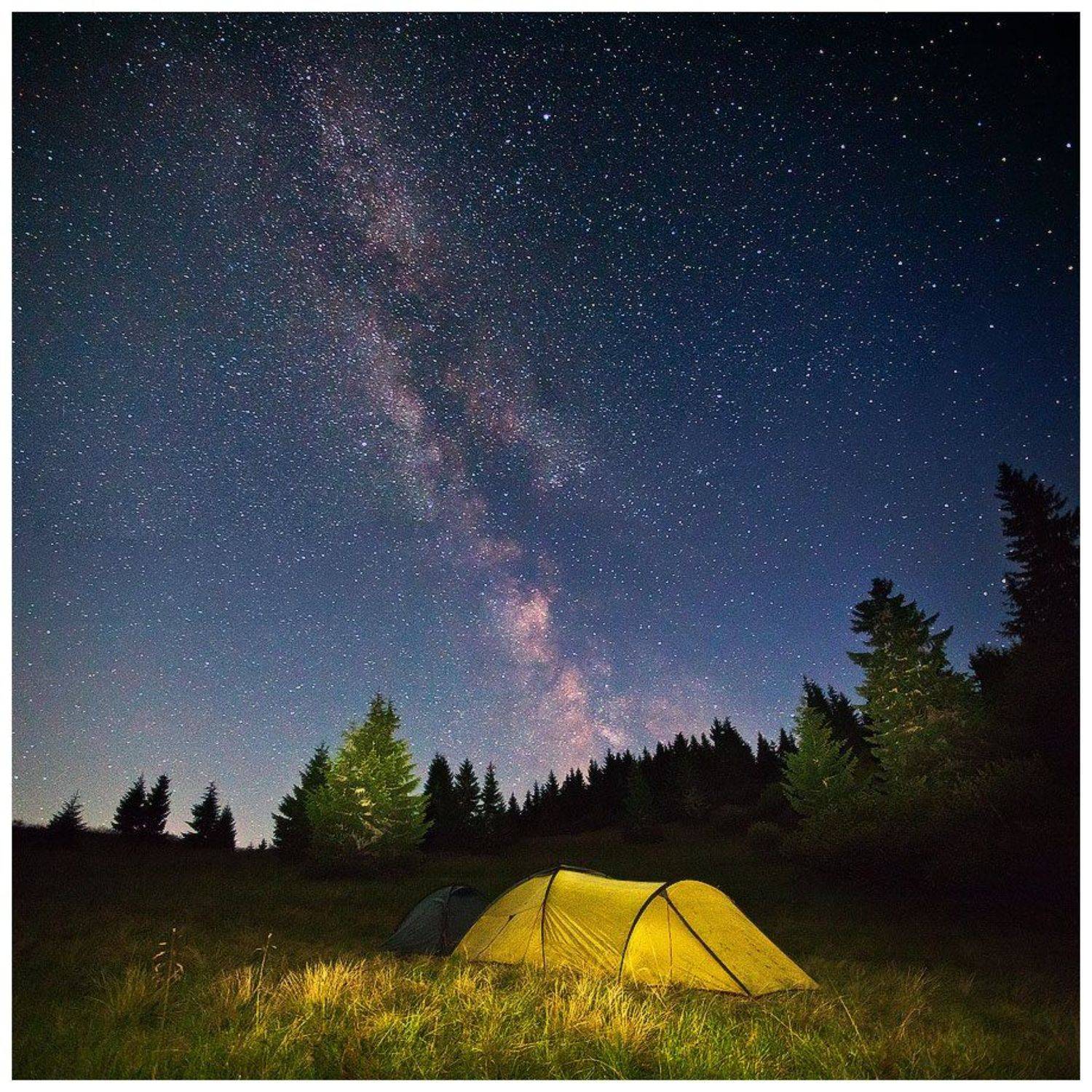 , Денис Кривой