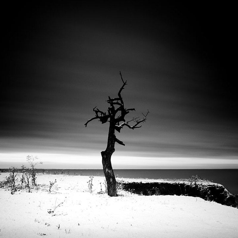 пейзаж, ч/б, моно, минимал, зима * фото превью