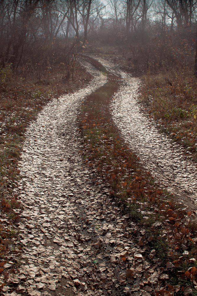 , Качурин Алексей