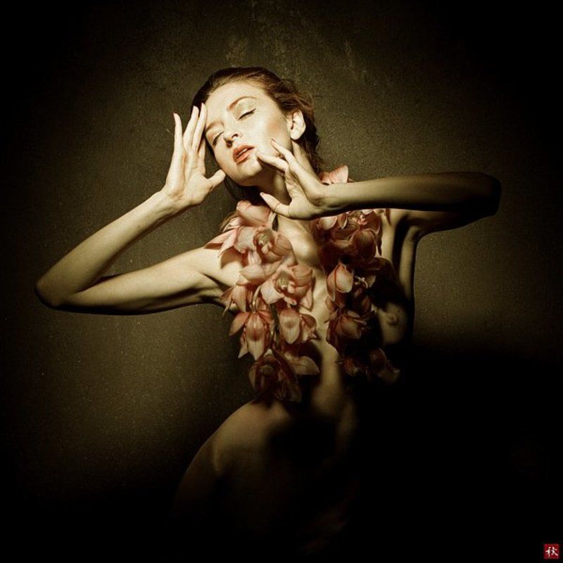 Orchid фото превью