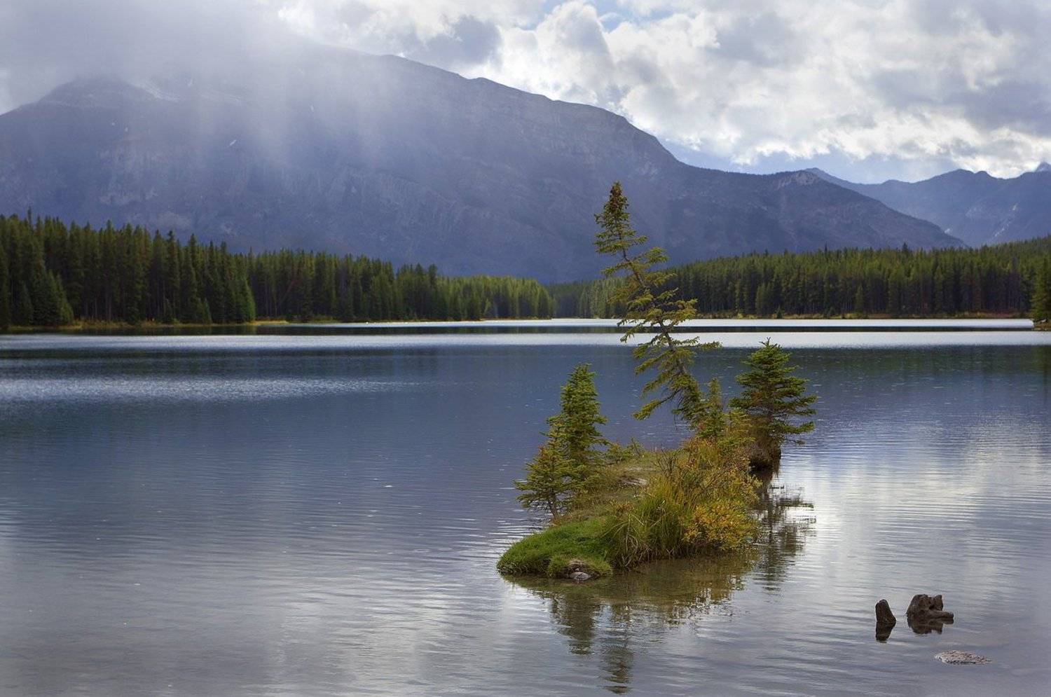 канада, озеро, ель, остров, Екатерина Богданова