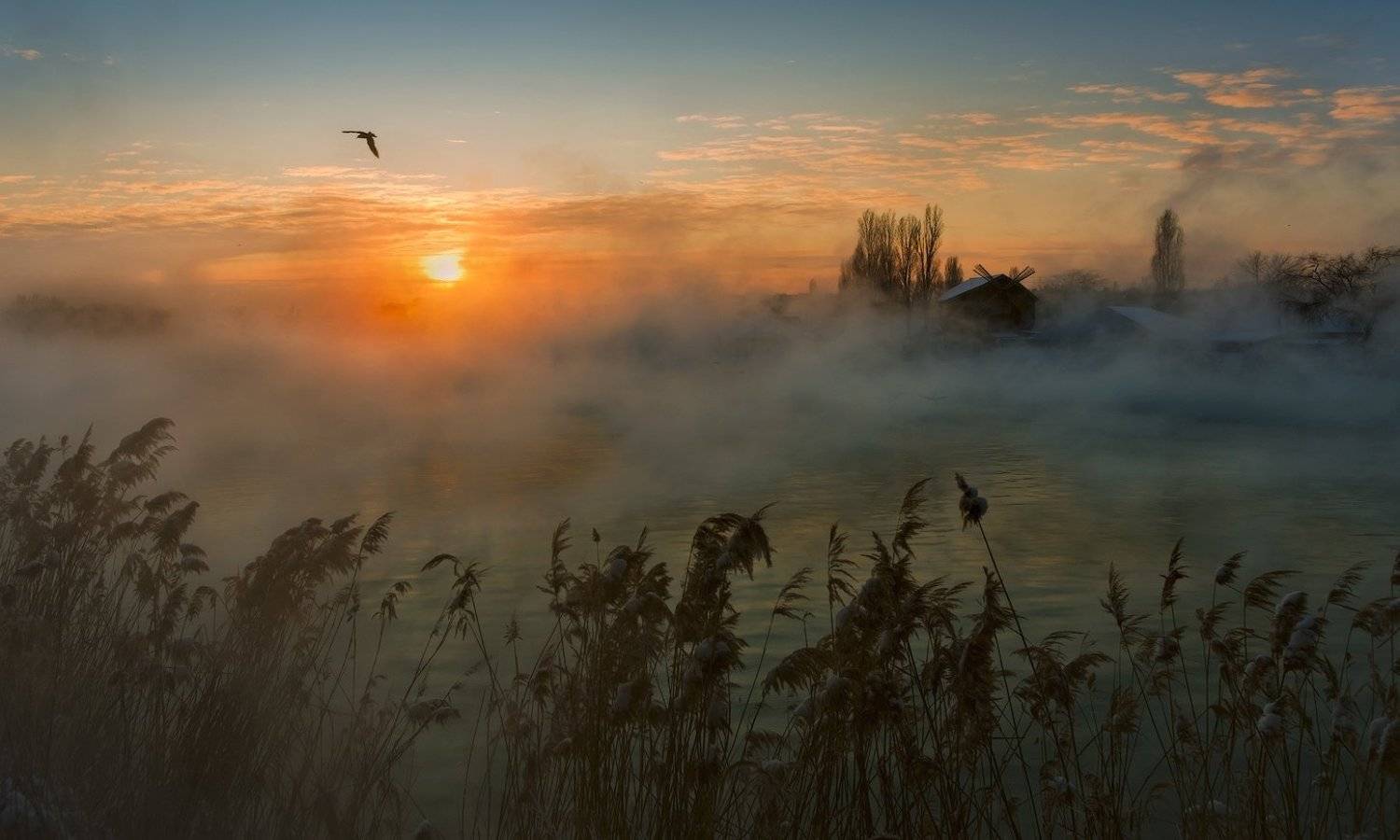 город, парк, зима, река, кубань, ФЁДОР