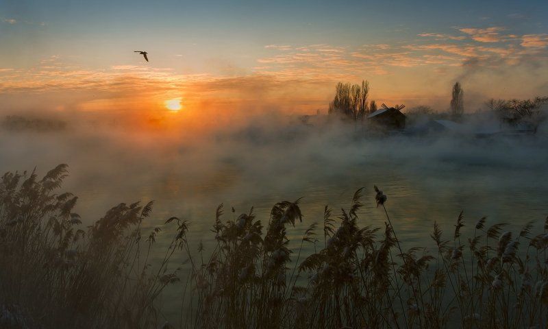 город, парк, зима, река, кубань ЕЩЁ ОДИН ВЗГЛЯД НА ЖИЗНЬ КУБАНЬ РЕКИ фото превью