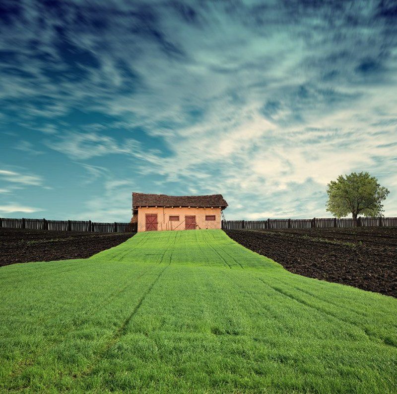 field, sky, door, light, clouds, tree, way, beautiful, grass, isolated, alone, fence, wood, wheat, small, horse, farm, ladder, grain, hangar My little farm II фото превью