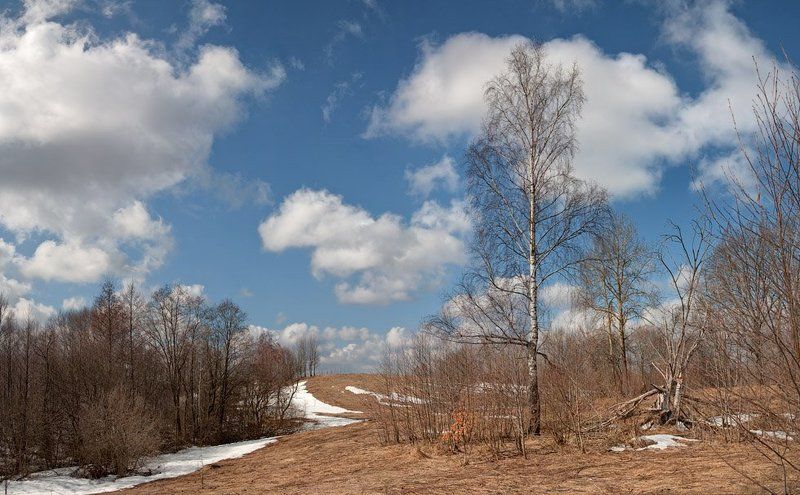весна Весна фото превью