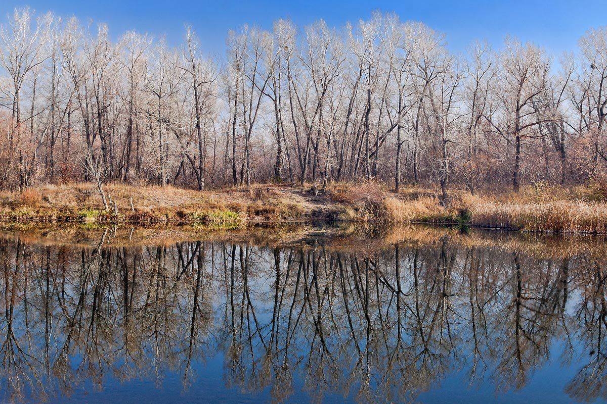 , Качурин Алексей