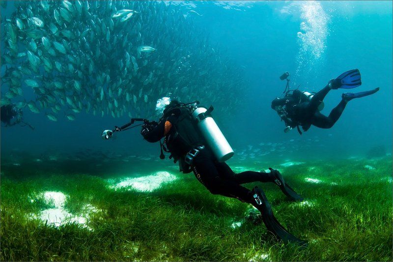 беззвучная Идёт охота ... фото превью