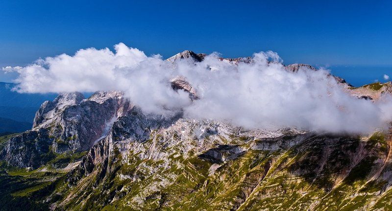 Фишт и его одеяло фото превью