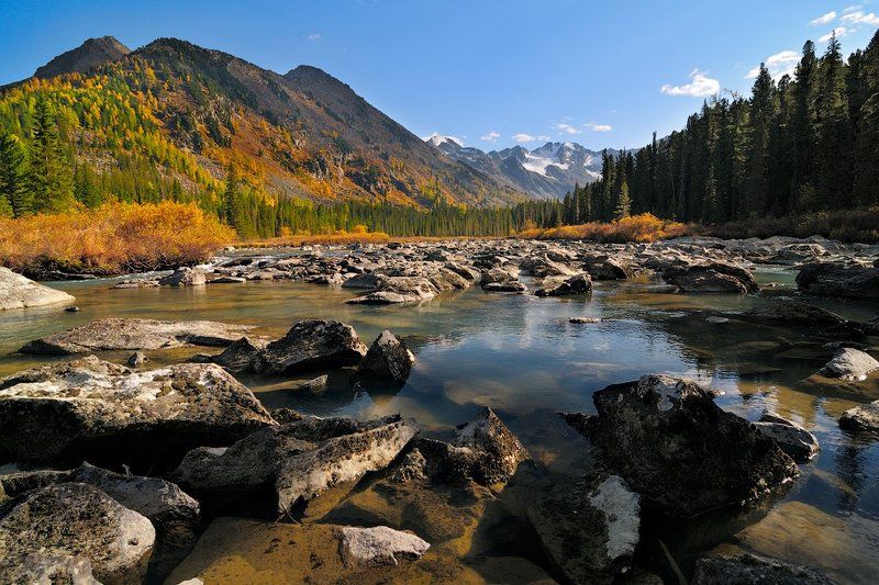 россия, горный алтай, усть-коксинский район, катунский хребет, река мульта  фото превью