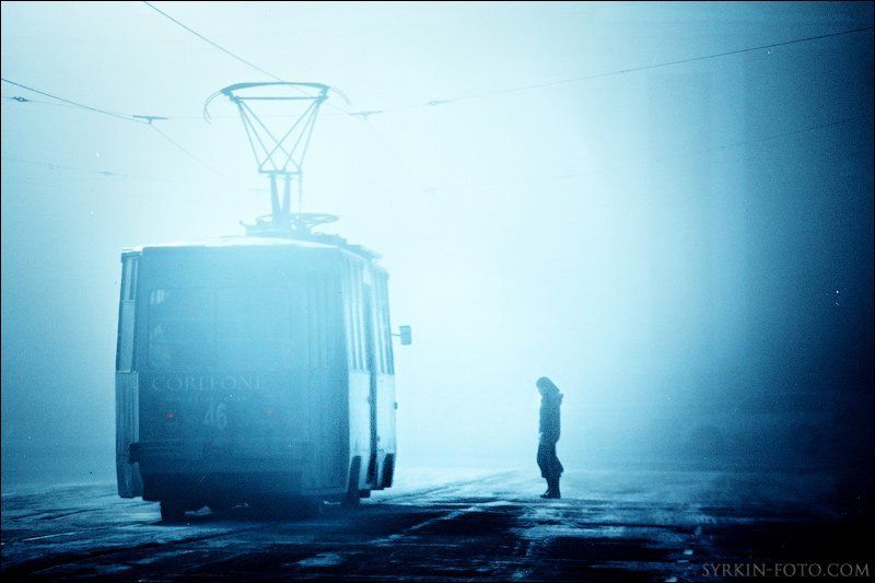 трамвай Трамвай желаний фото превью