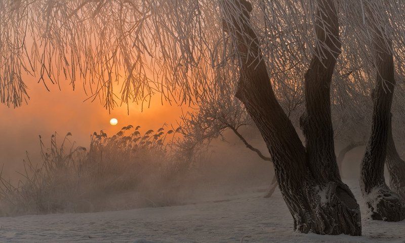 город, парк, зима, река, кубань , утро И НАЧИНАЛСЯ НОВЫЙ ДЕНЬ фото превью