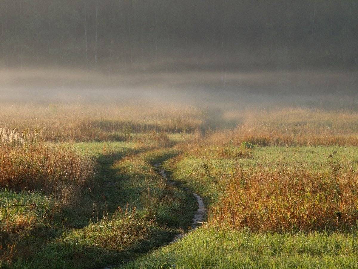 , Владимир Перепечаев