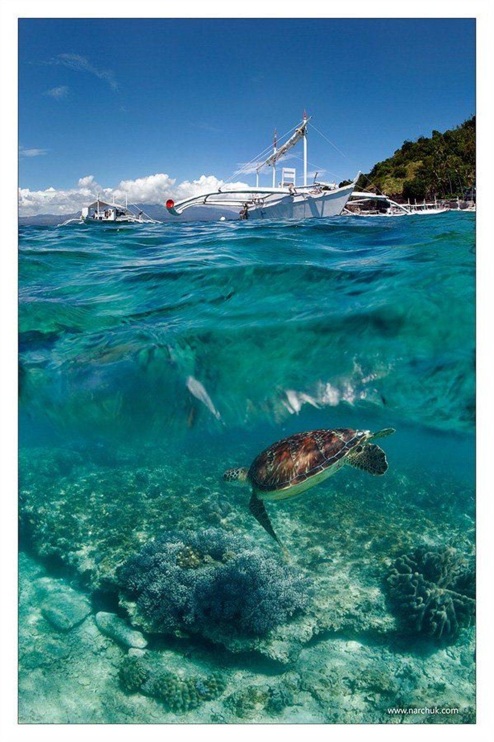 , Нарчук Андрей