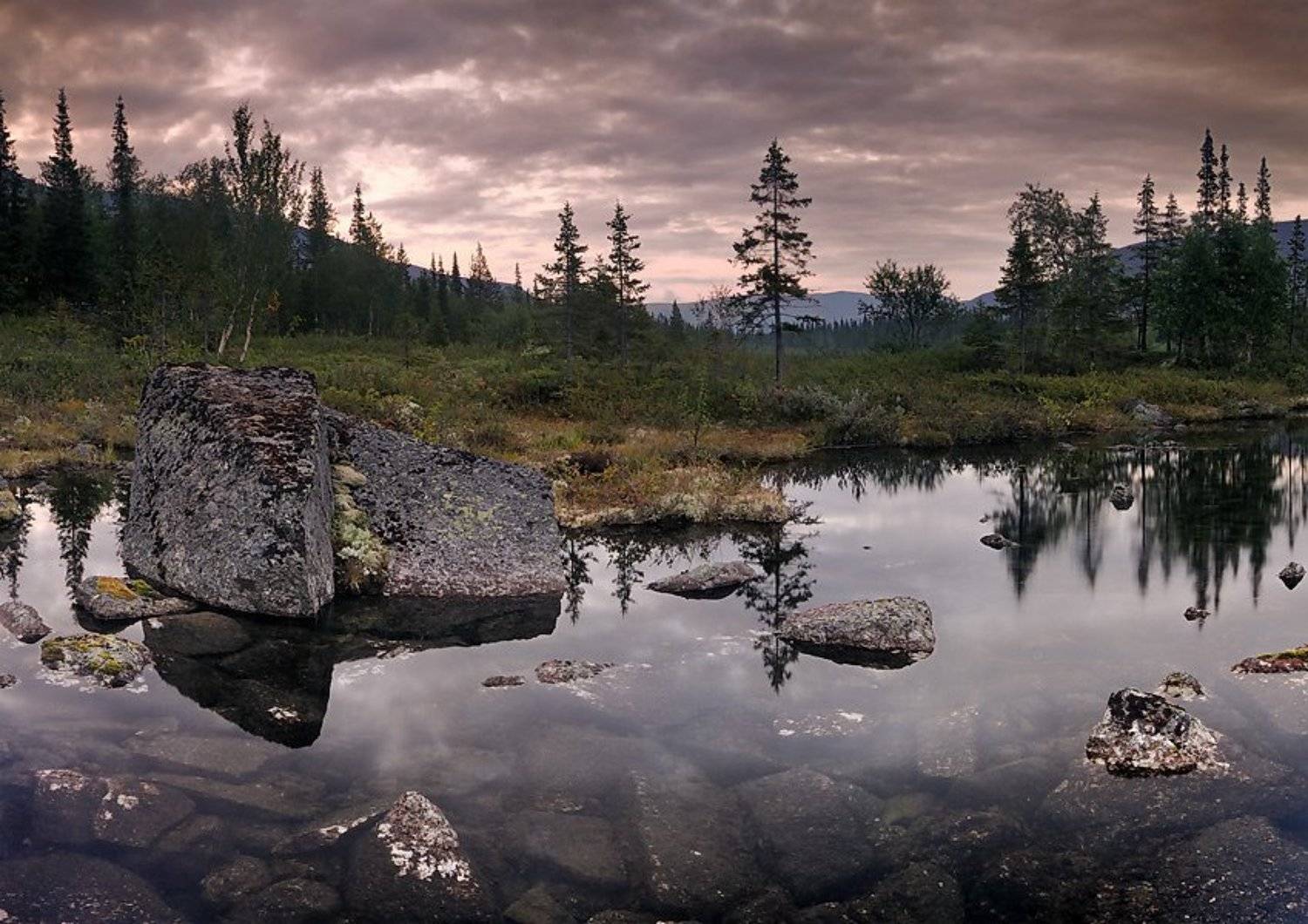 fotodl, Дима Лялин