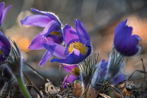 Чудесный день ...